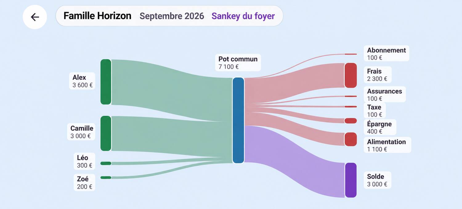 Graphique Sankey anonymisé de la Famille Horizon