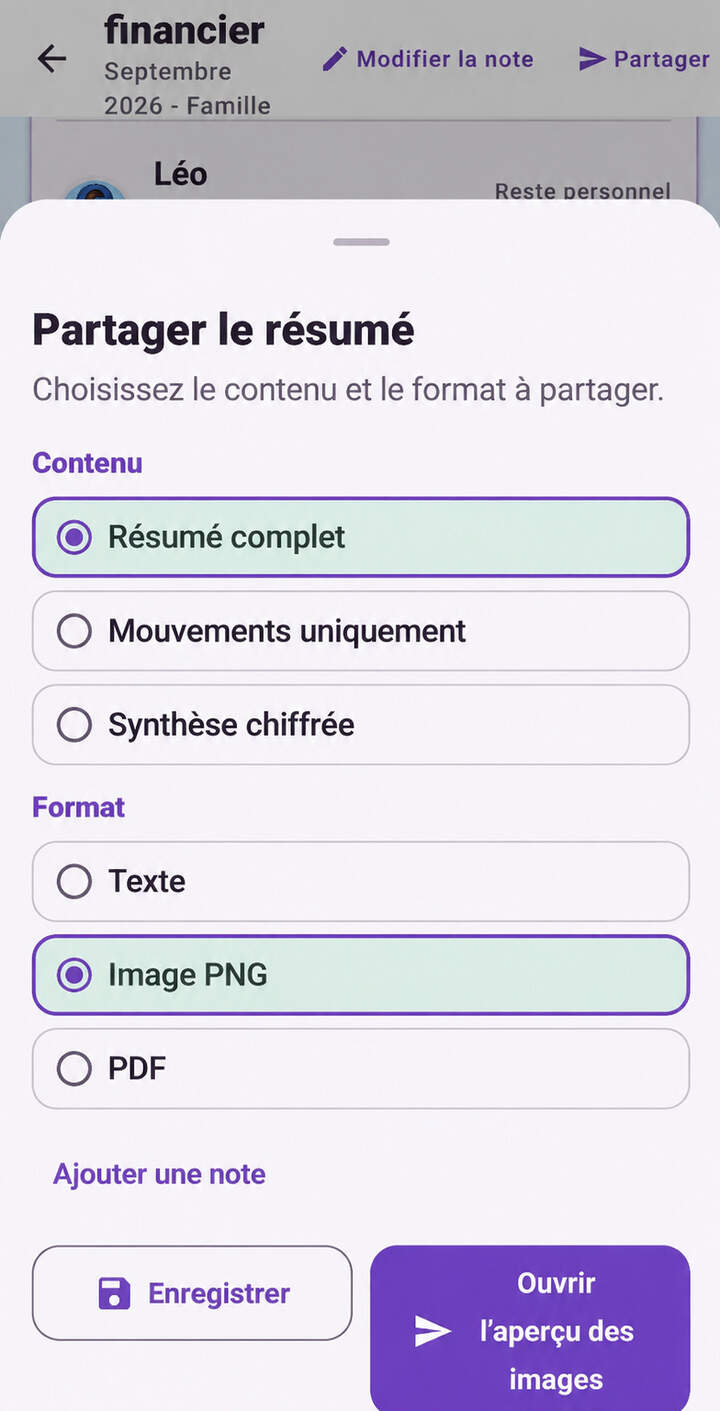 Options anonymisées pour partager le résumé financier